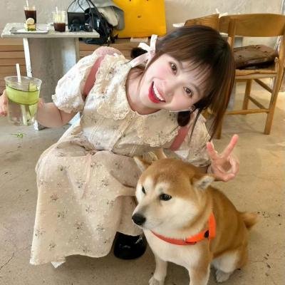 上流生活